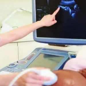 A person pointing to an image on the screen of a computer.